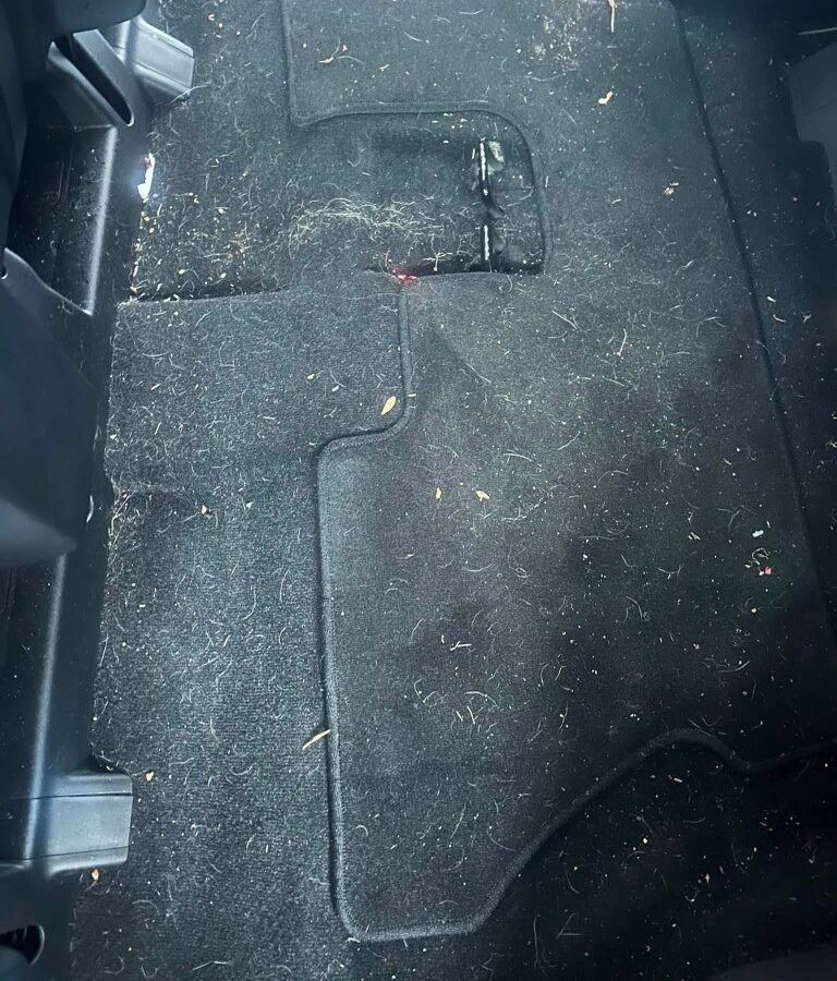 Before photo of Interior Pet Hair Cleanup